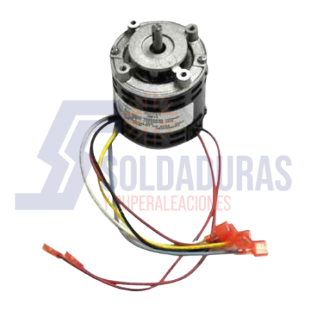 MOTOR SAPO